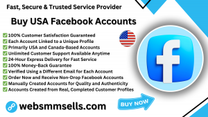 Buy USA Facebook Accounts 